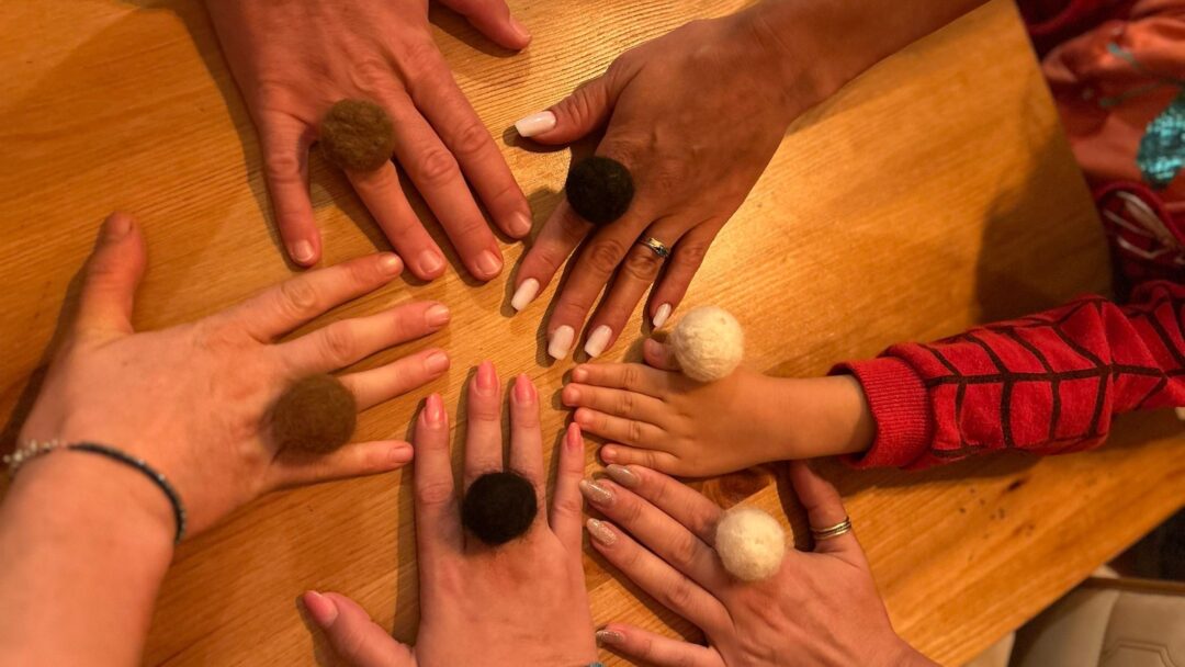 Atelier de bijuterii din lână de alpaca – Centrul EKA